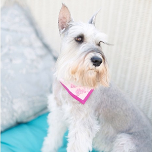 Frivolous Friday vol. 106